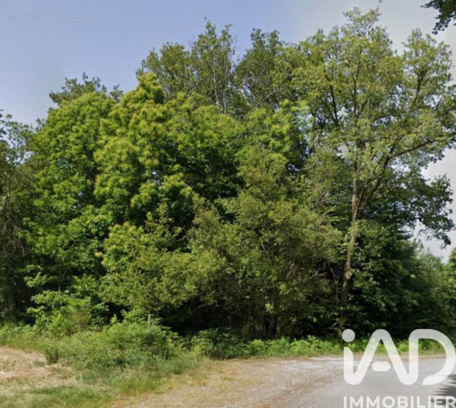 Photo 1 - Terrain à SEREILHAC