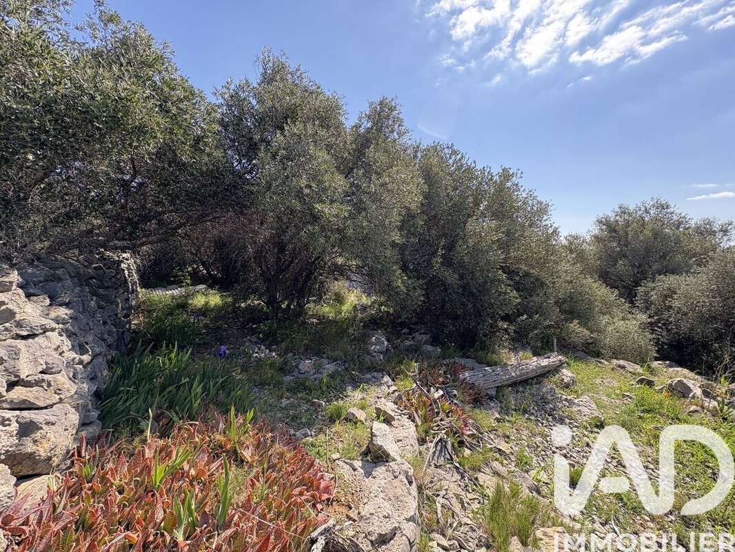 Photo 3 - Terrain à LA PALME