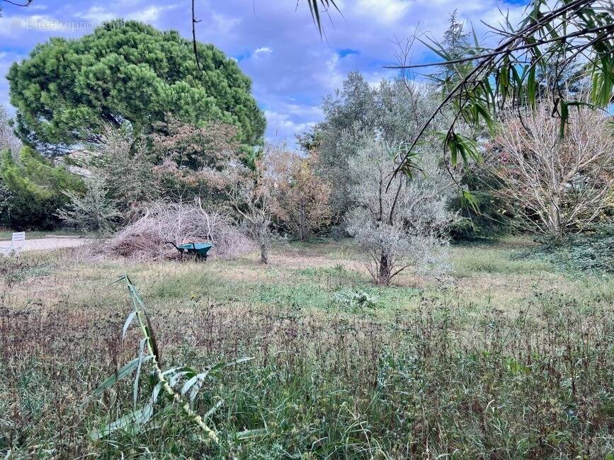 Terrain à FOS-SUR-MER