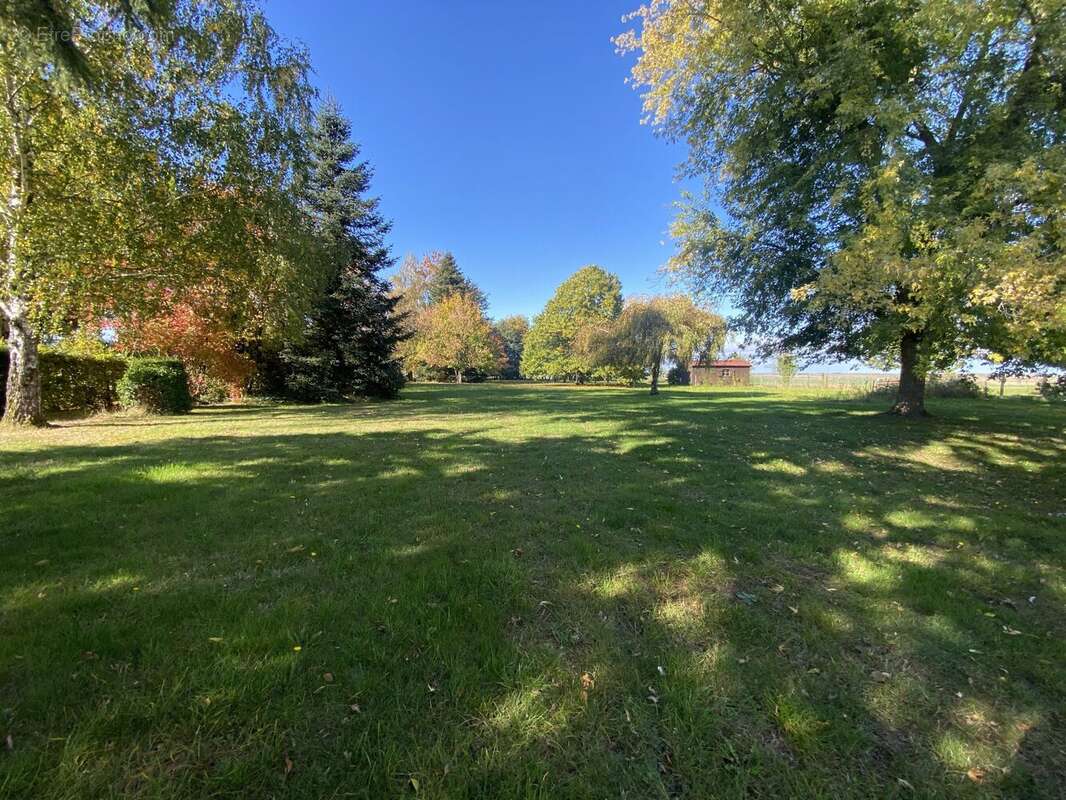 Maison à CHAMBON-LA-FORET