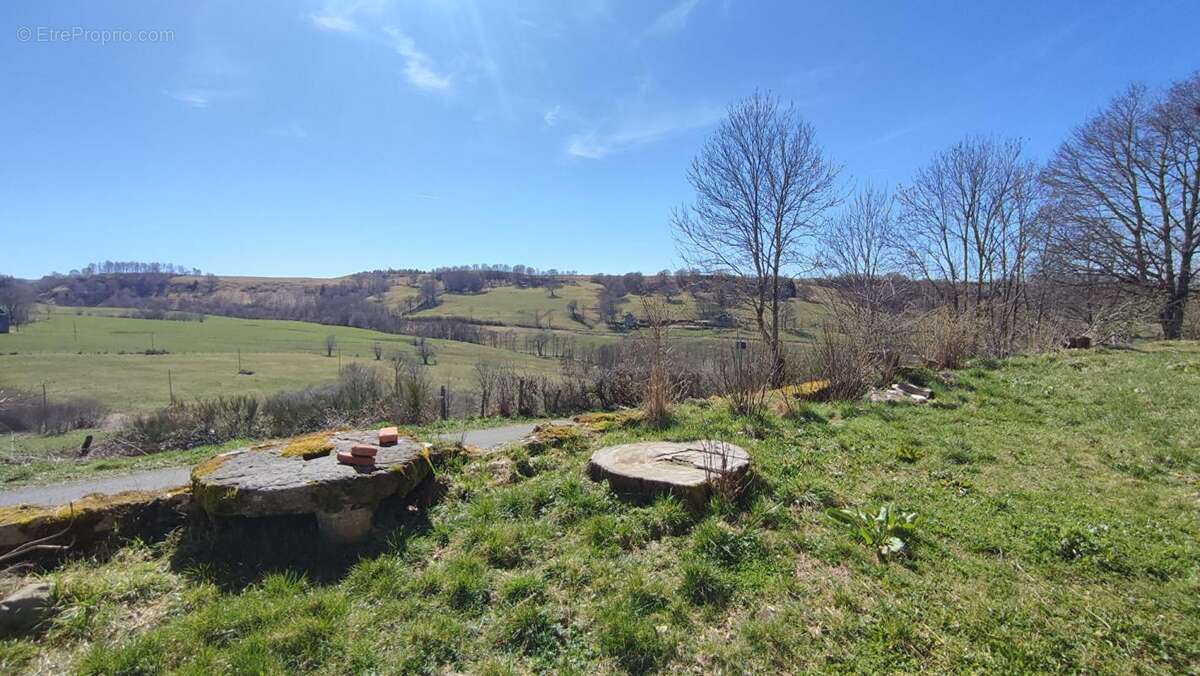 Belle maison Cantalienne Saint Amandin 15190 - photo 16