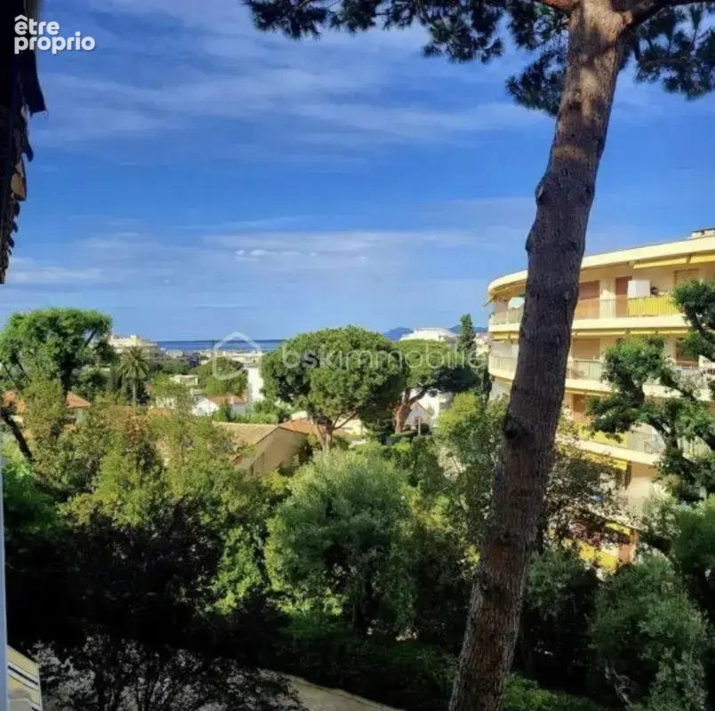 Antibes – le mas de tanit – grand studio avec terrasse, piscine et cave - photo 11