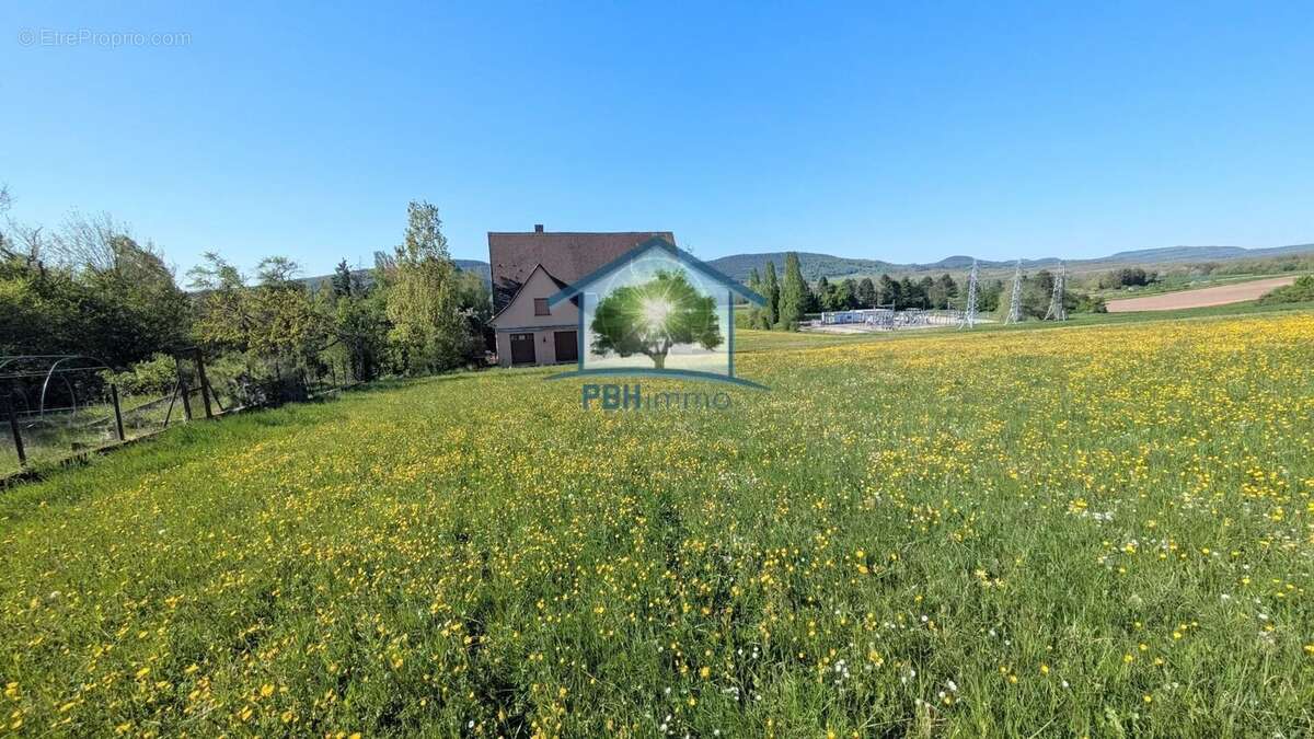 INGWILLER (67) - Maison 334m² avec Cave, Cour et Jardin sur 95 ares - photo 2