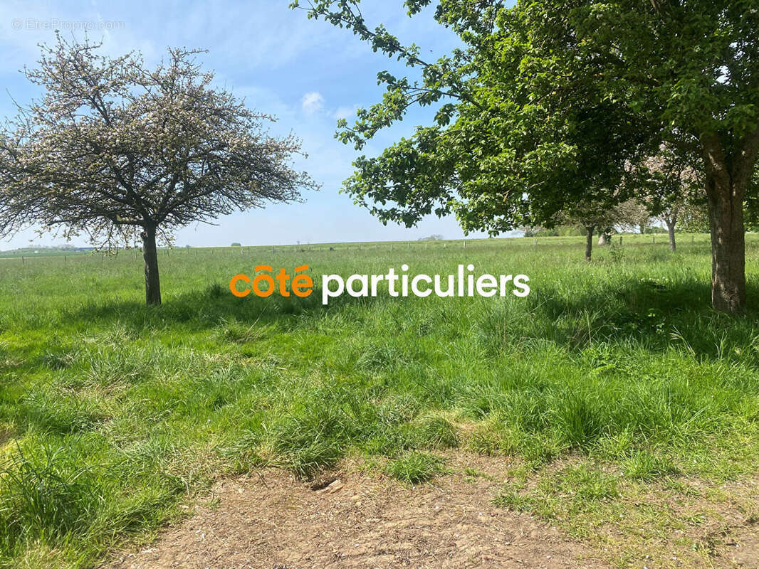 Maison à BRETTEVILLE-L&#039;ORGUEILLEUSE