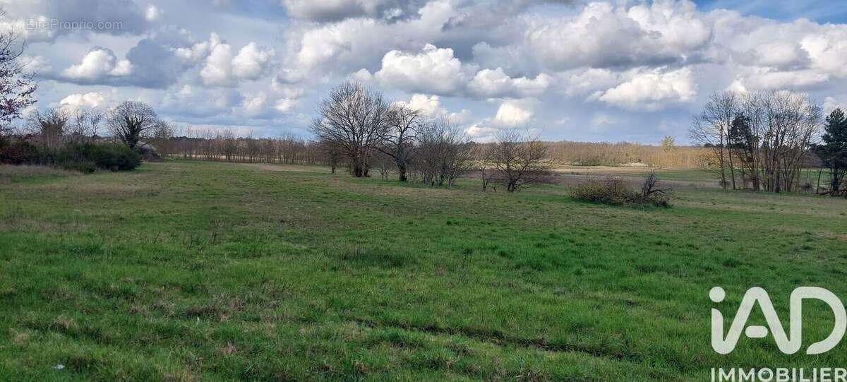 Photo 3 - Terrain à SASSAY