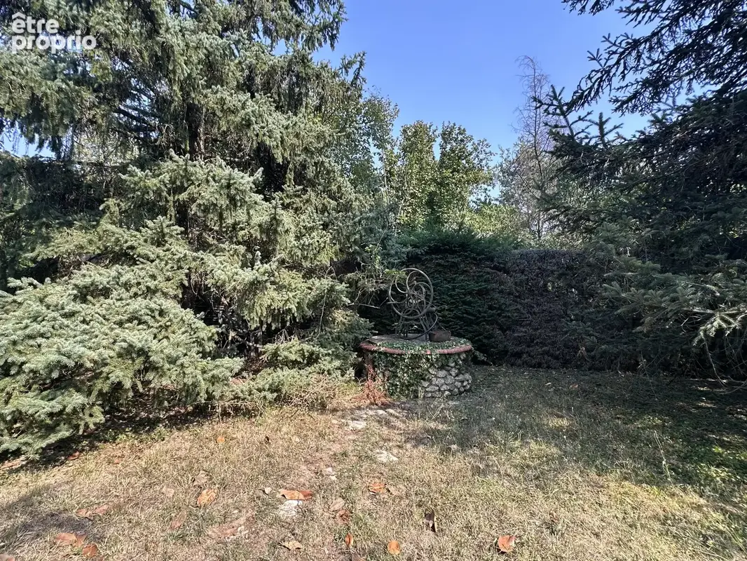 Saint-juéry   maison familiale avec véranda, vaste sous-sol et parc arboré - photo 27
