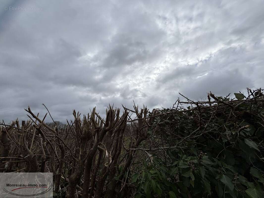 Terrain à LE QUESNOY