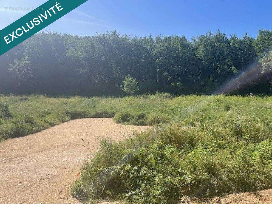 Photo 1 - Terrain à CERESTE