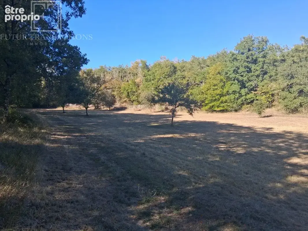 Propriété isolée sur 1.7Ha avec gîte - photo 18