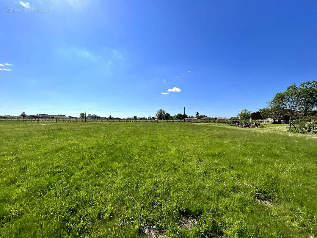 A vendre terrain libre de constructeur de 1 215 m2 priche blaye - photo 3