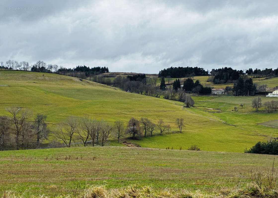 Terrain à YSSINGEAUX