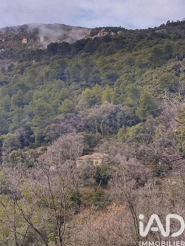 Photo 1 - Maison à BARGEMON