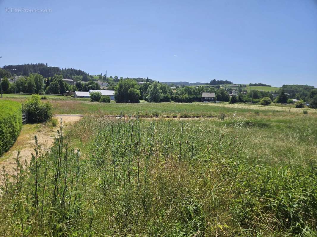 Terrain à TENCE