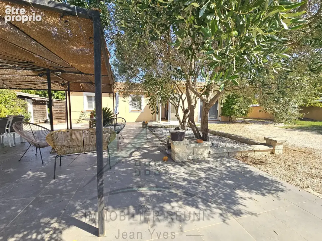 Martigues   jonquières centre-ville - photo 5