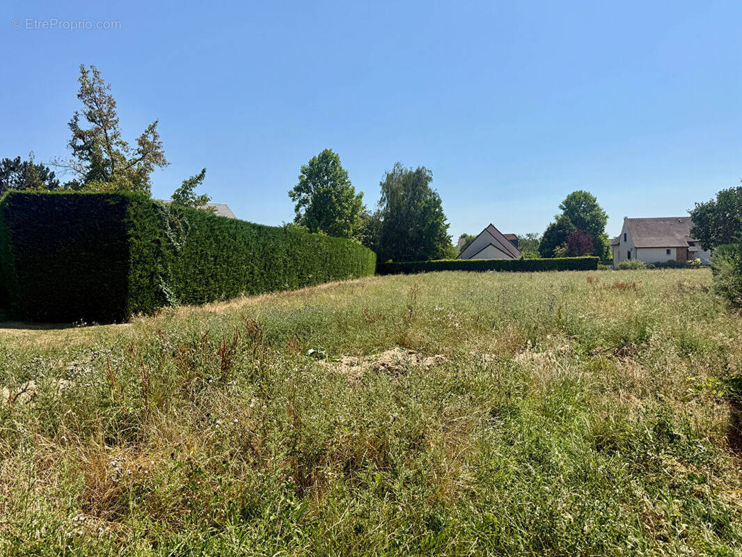 Terrain à LES ALLUETS-LE-ROI