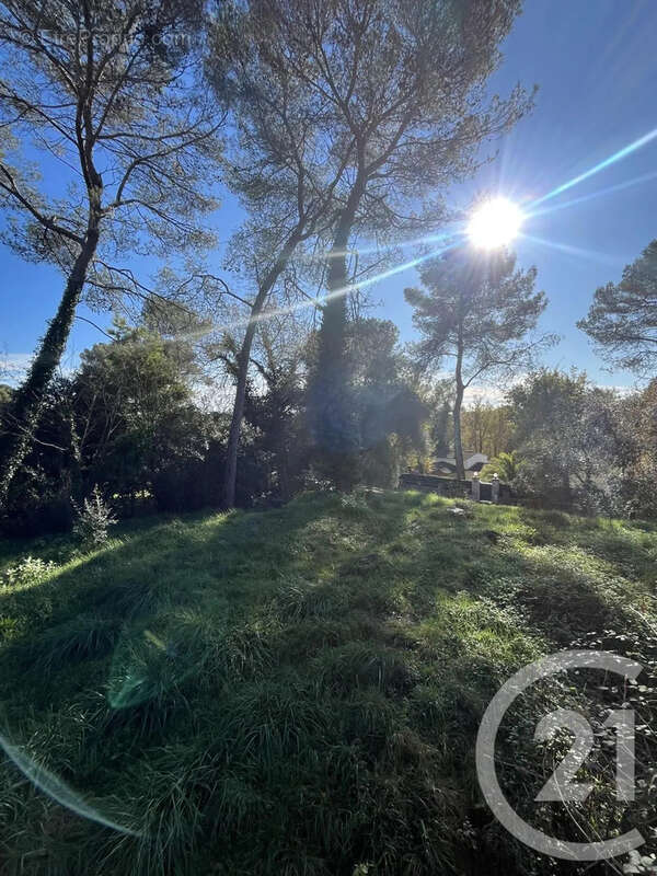 Terrain à ROQUEFORT-LES-PINS