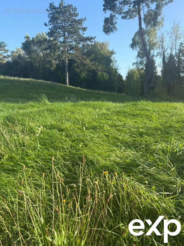 Terrain à LE VAUDOUE