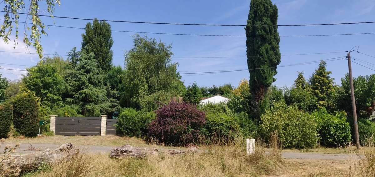 Maison de plain-pied, garage et jardin à vendre à Rioux (17) - photo 51