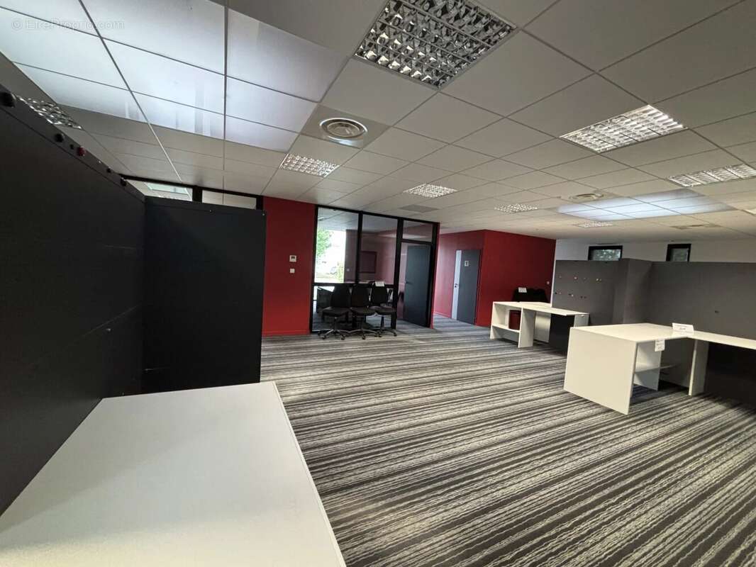 Commerce à L&#039;ILE-D&#039;OLONNE