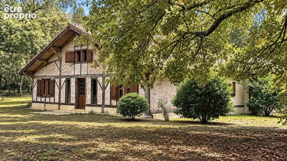 Soustons  authentique airial landais  322 m²  1,35 ha  312 m² de dépendances - photo 23