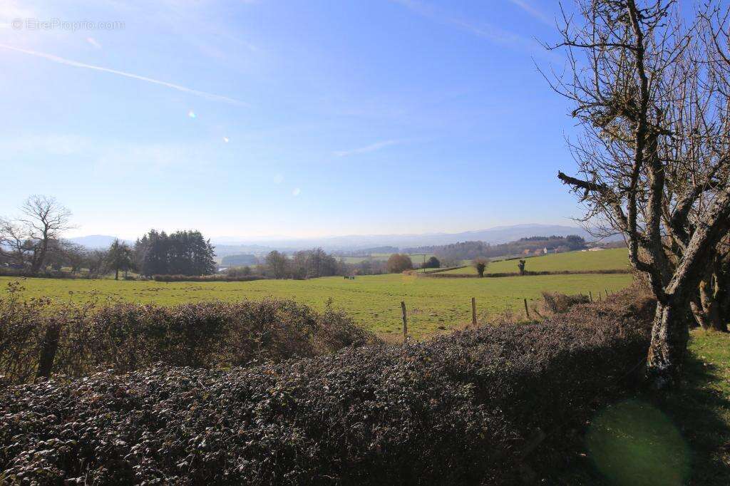 Maison de 172 m² de plain-pied à vendre avec vue dégagée - photo 3