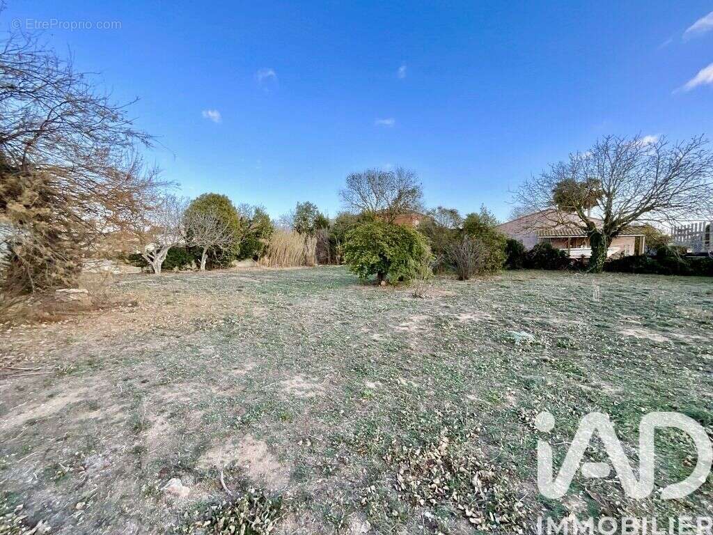 Photo 4 - Maison à MARSEILLAN