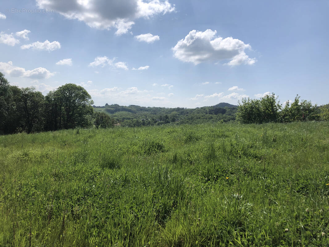 Terrain à SAINT-CYPRIEN