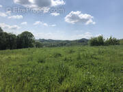 Terrain à SAINT-CYPRIEN