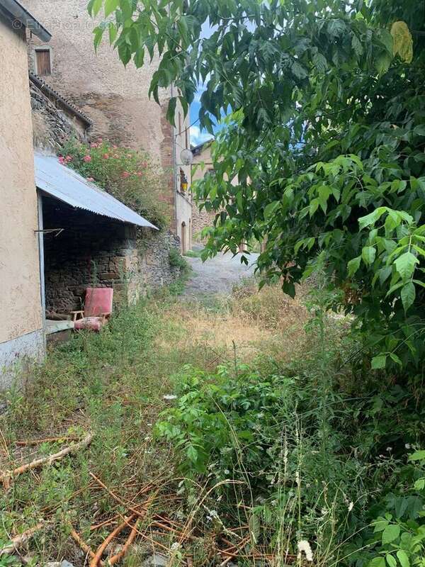 Maison 160 m² à Saint-Sernin-Sur-Rance  - photo 2