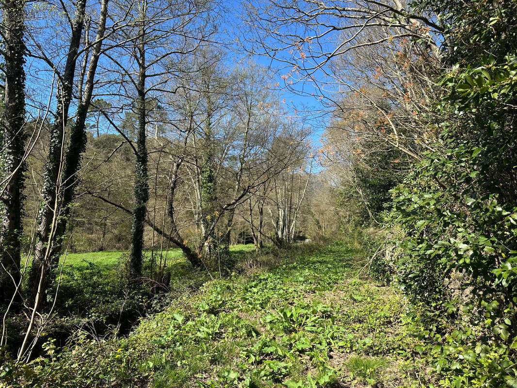 Maison à SAINT-HIPPOLYTE-DU-FORT