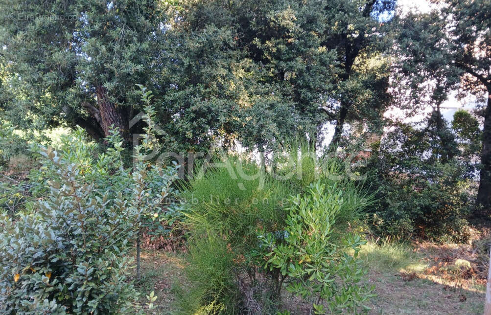 Terrain à VAUX-SUR-MER