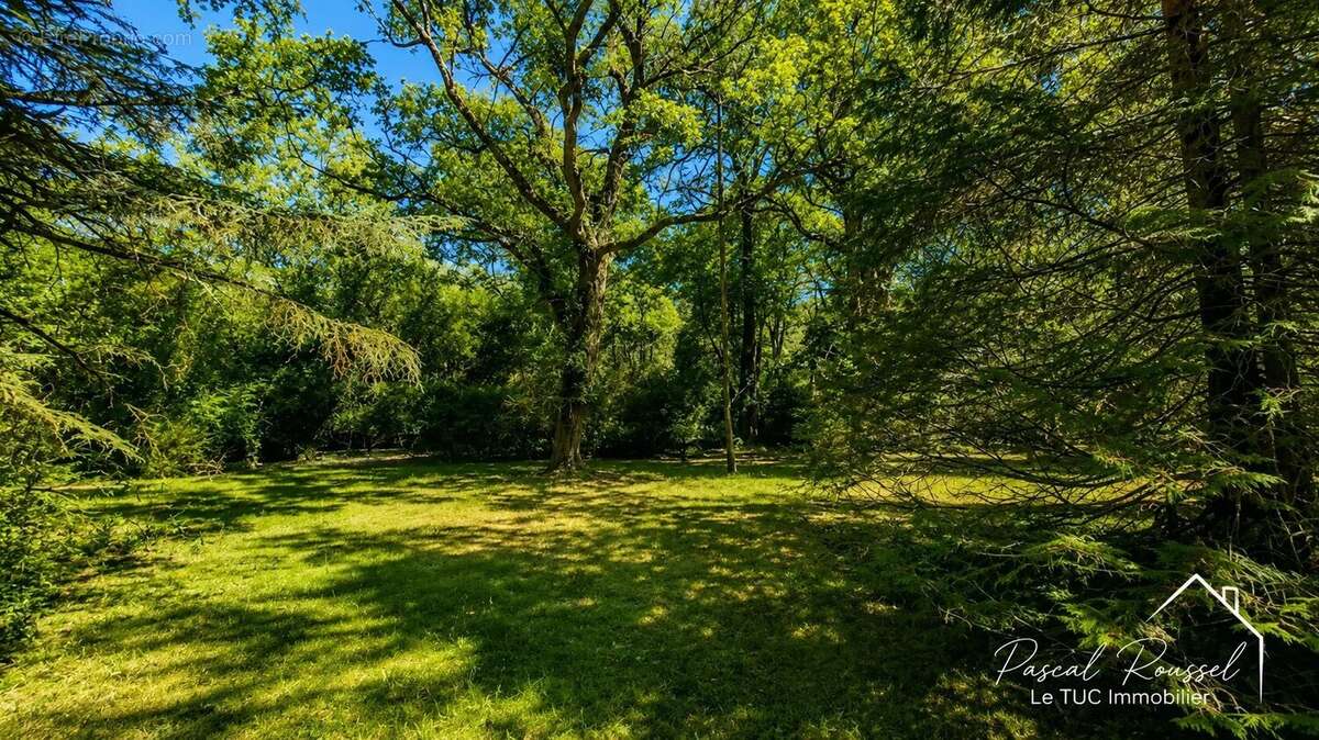 LONGERE DE CARACTERE-270 m2-3,5 hectares de bois-Dépendances - photo 12