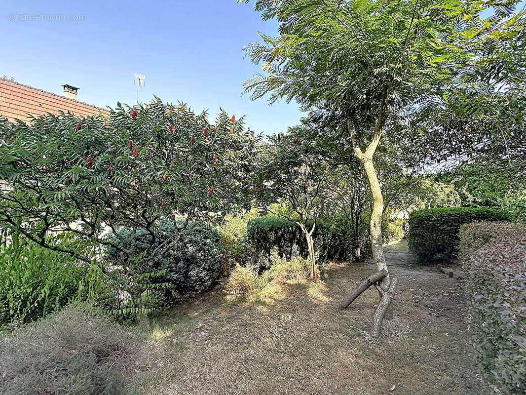 Coeur de Chaumont en vexin ! - photo 10