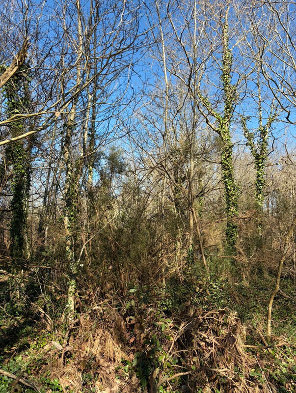 Terrain à CHATEAUNEUF
