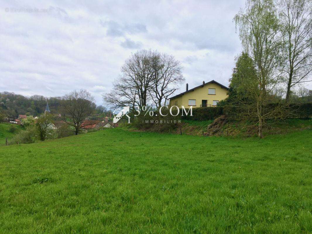 Terrain à WALSCHBRONN