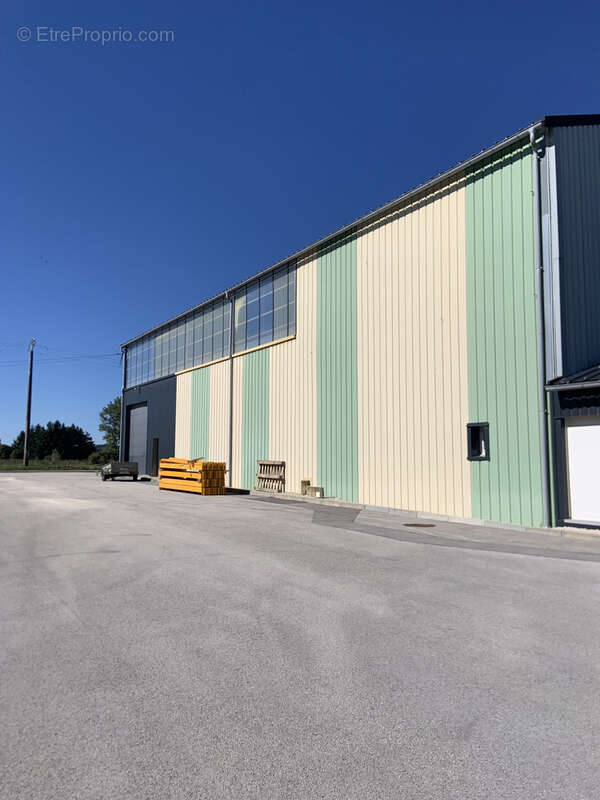 Commerce à VUILLECIN