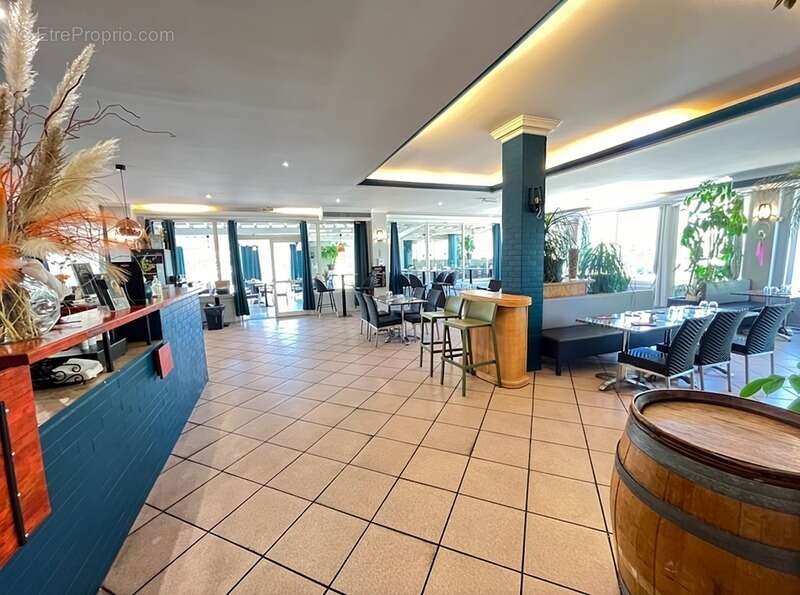 Commerce à SAINT-JEAN-DE-VEDAS