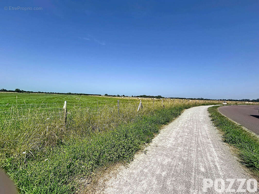 Terrain à BLAINVILLE-SUR-MER