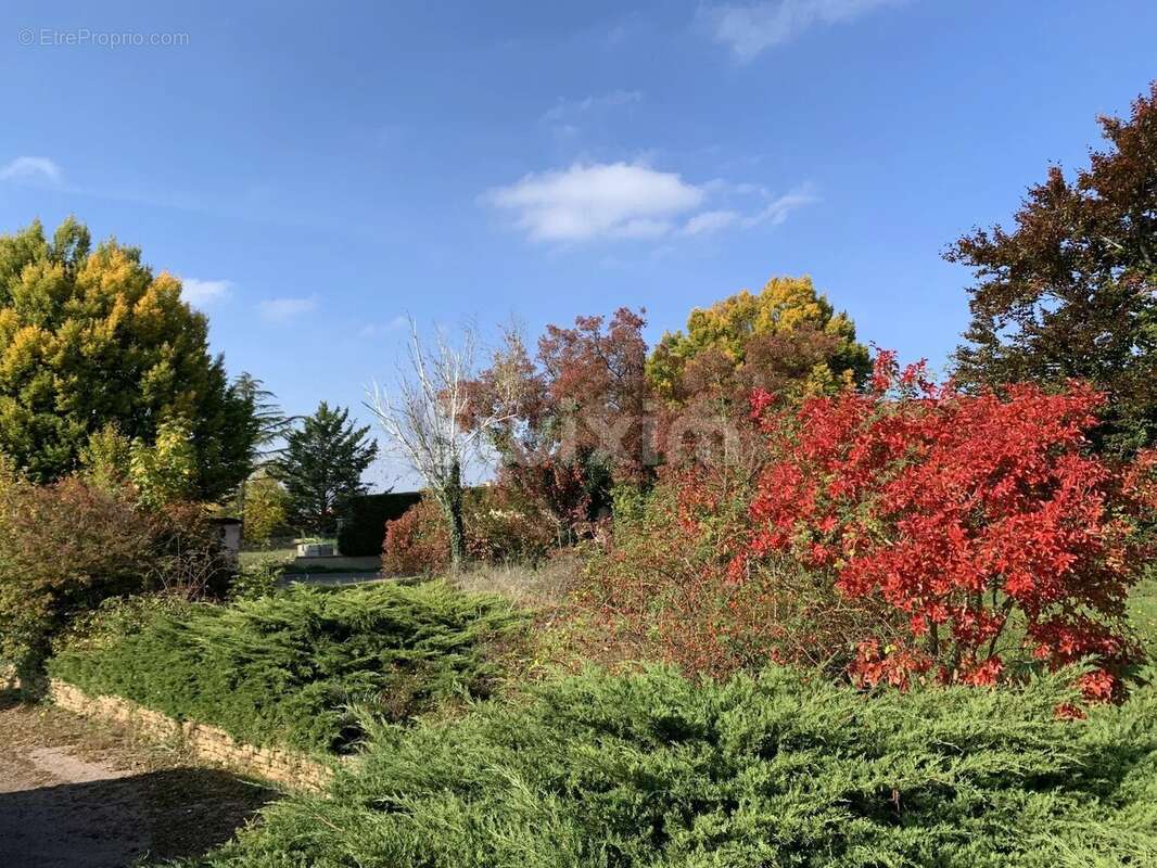 Maison à CHARNAY-LES-MACON