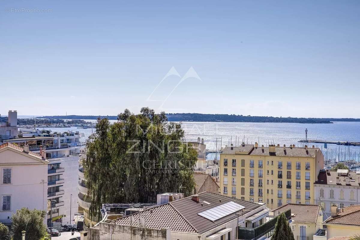 Cannes - Proche centre-ville - Penthouse 172 m² - photo 2