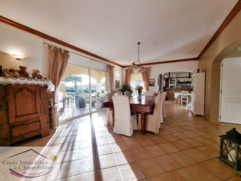 La crau villa t5 avec dependances et piscine - photo 3