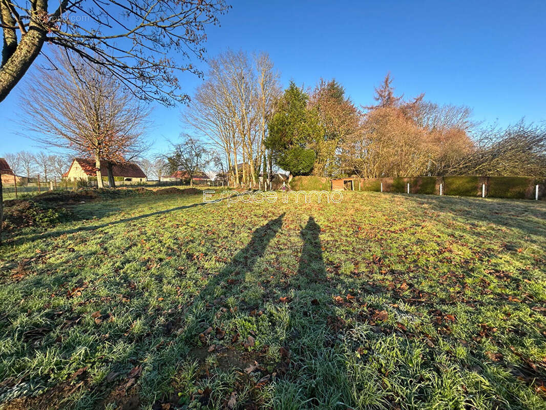Terrain à BOSC-LE-HARD