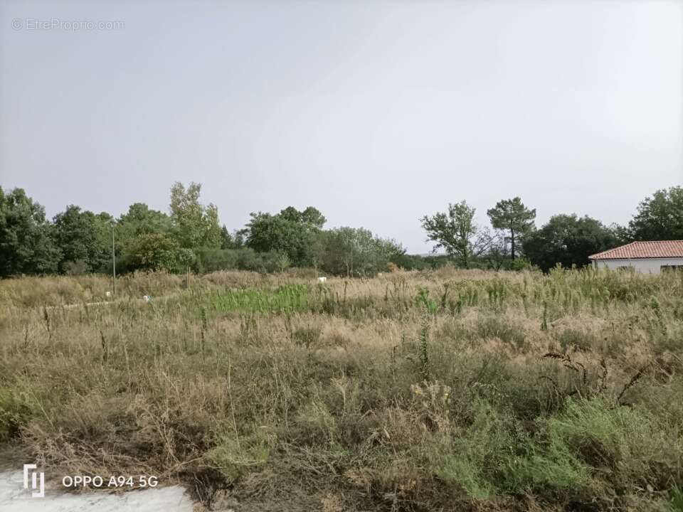 Terrain à GRAZAC
