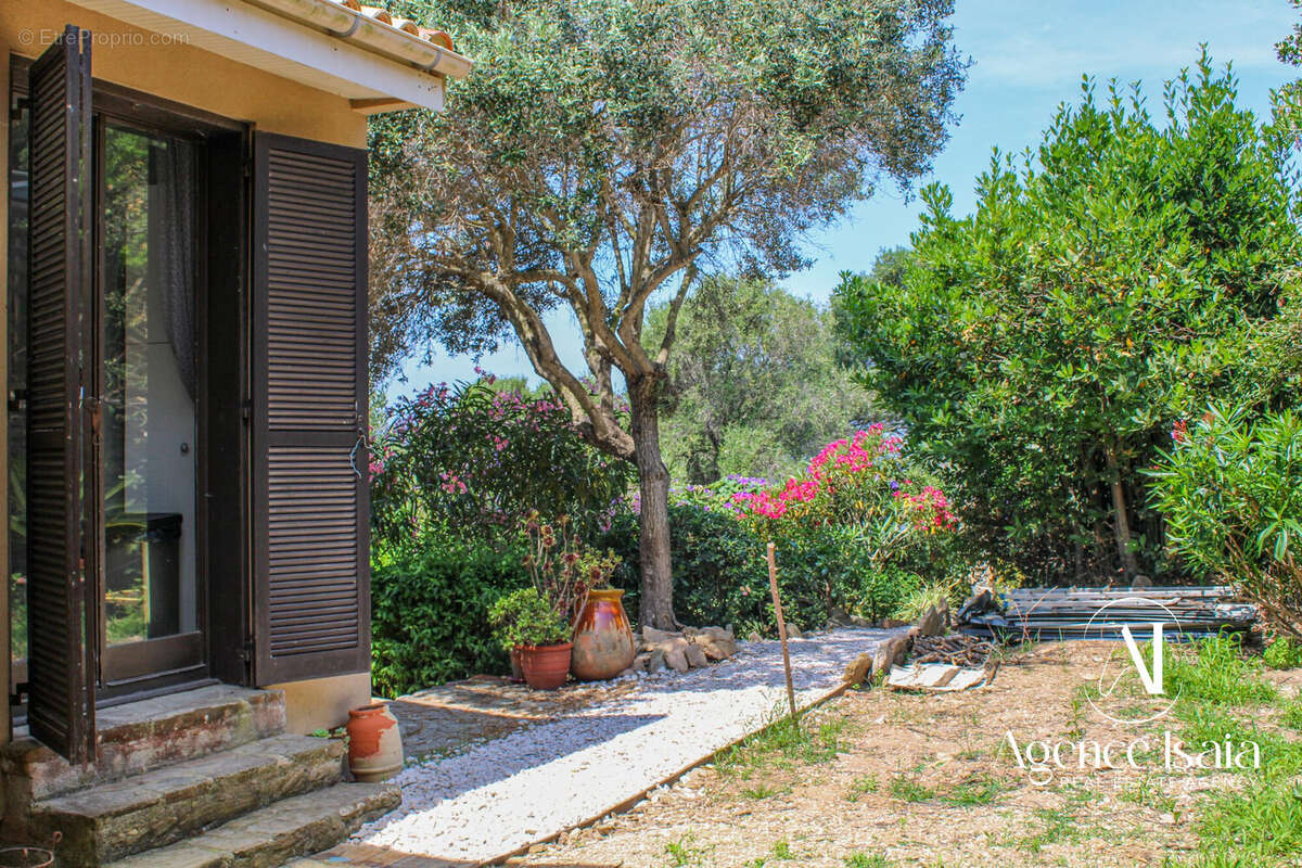 Maison 46 m² à Hyeres  - photo 5
