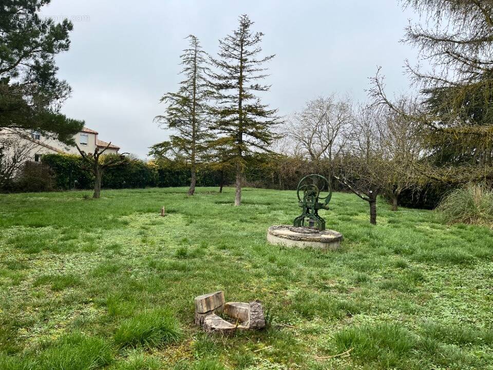 Terrain à VILLENEUVE-LA-COMPTAL