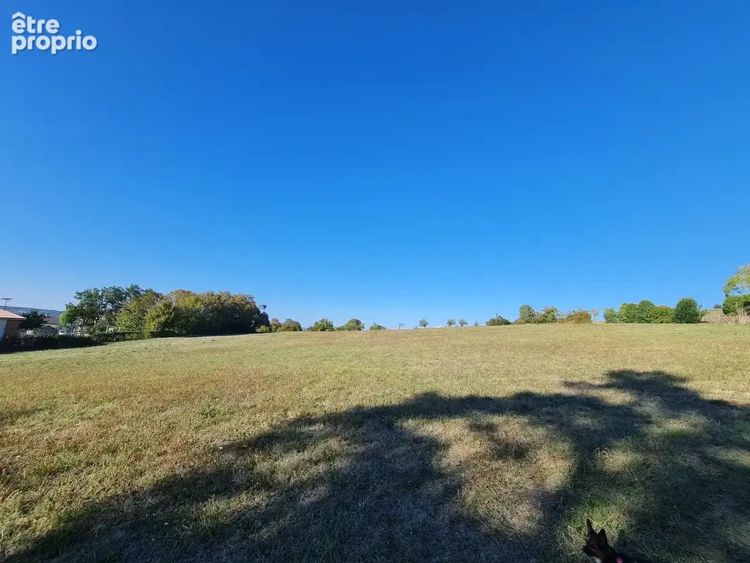 Prairie