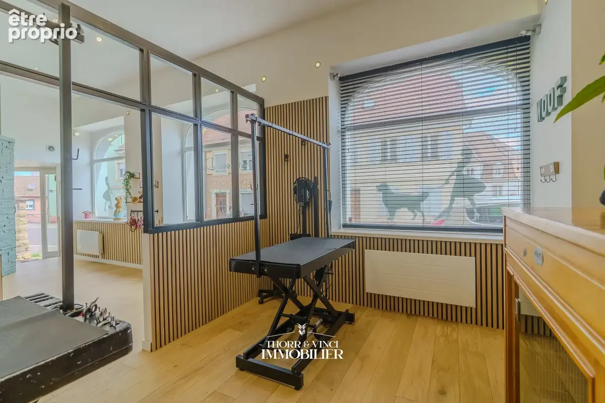 Local Professionnel- 55 m2 - Altkirch - photo 15