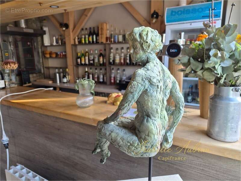 Fonds de commerce Bar - Restaurant à vendre SAINT PIERRE DE CHARTREUSE (38) - photo 6