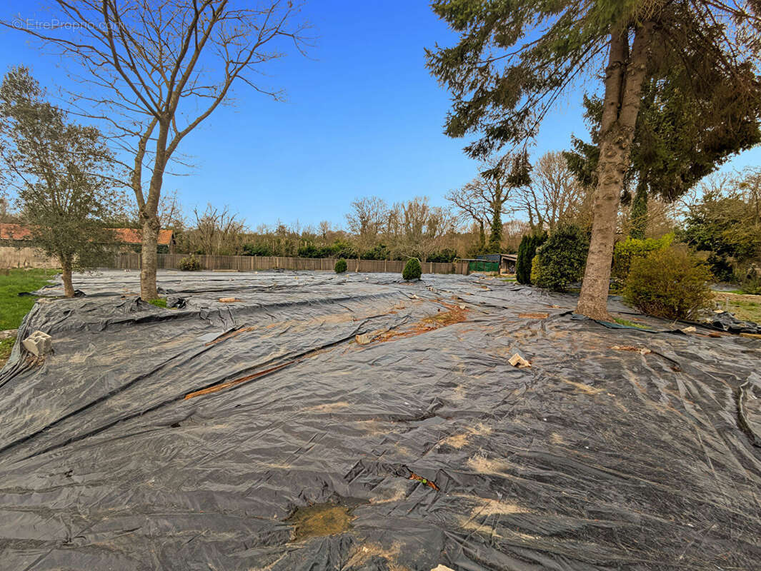 Terrain à SAINT-DOMINEUC