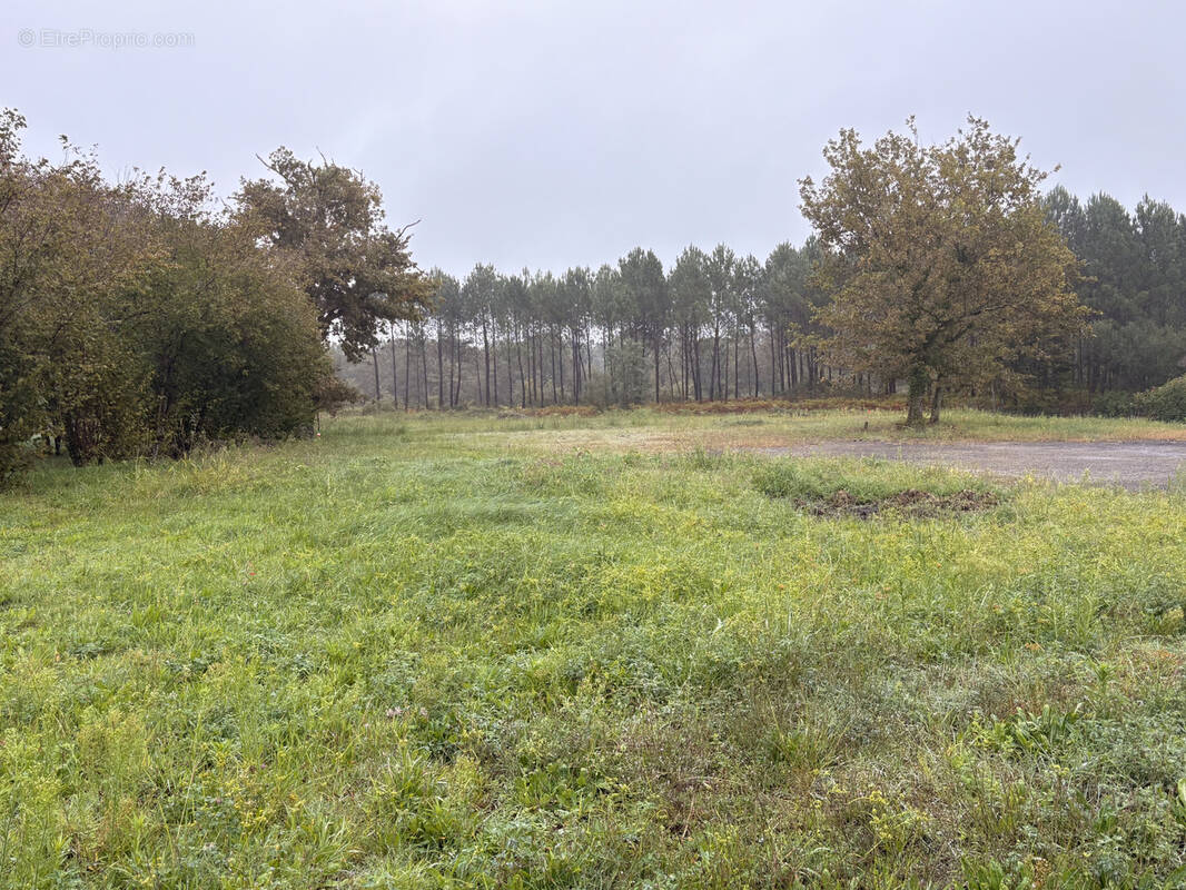 Terrain à PONTENX-LES-FORGES